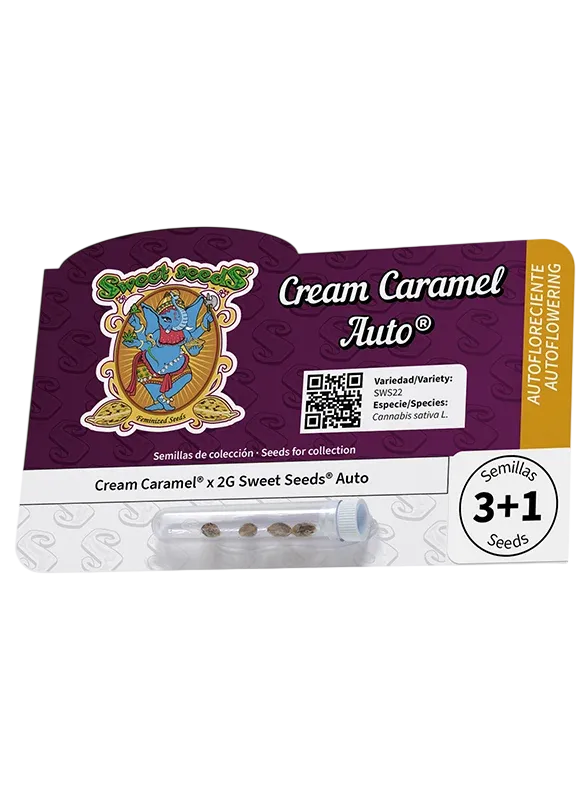 Cream Caramel Auto | AUTOFEM | Sweet Seeds