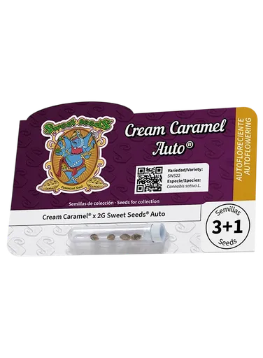 Cream Caramel Auto