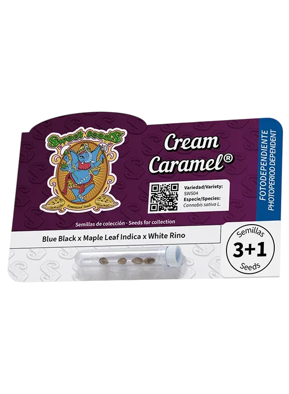 Cream Caramel | PHOTOFEM | Sweet Seeds