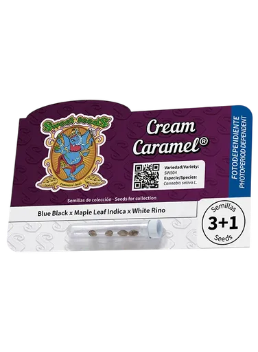 Cream Caramel