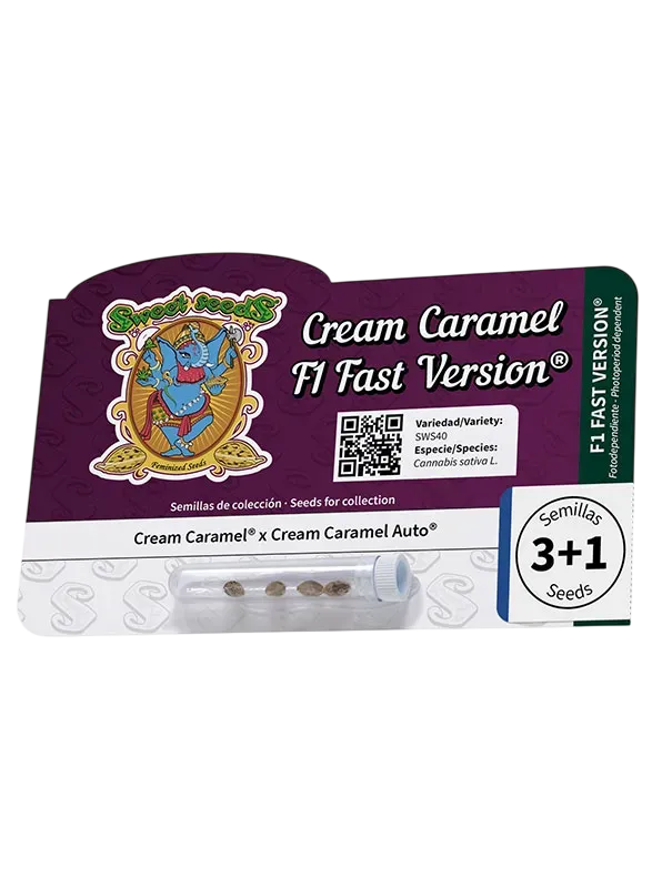 Cream Caramel F1 FAST Version | PHOTOFEM | Sweet Seeds