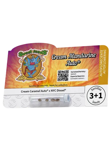 Cream Mandarine Auto