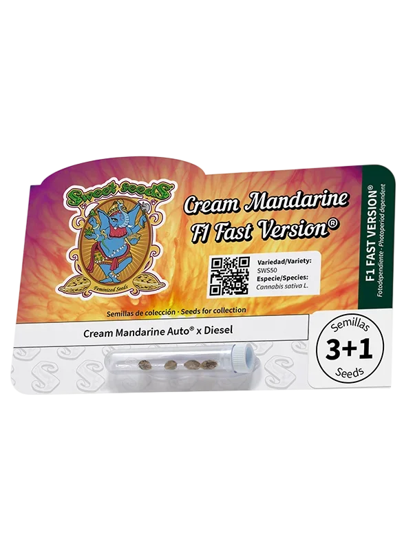 Cream Mandarine F1 FAST Version – Produktansicht