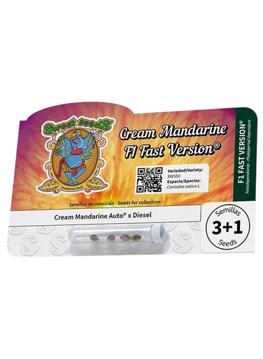 Cream Mandarine F1 FAST Version