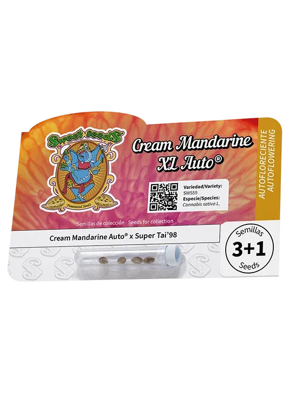 Cream Mandarine XL Auto | AUTOFEM | Sweet Seeds
