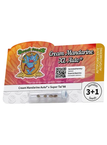 Cream Mandarine XL Auto