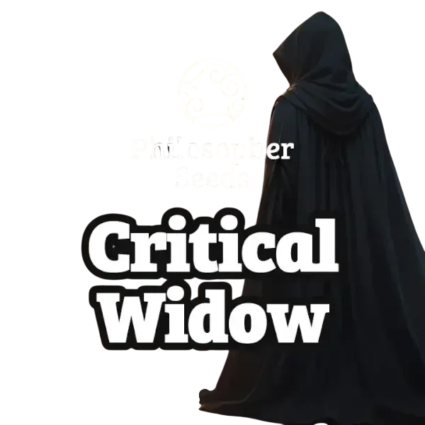 Critical Widow – Produktansicht