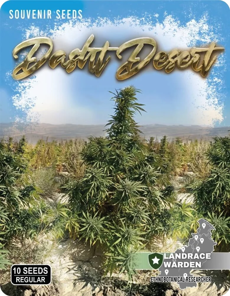 Dasht Desert – Produktansicht