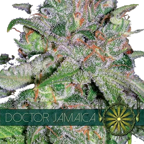 Doctor Jamaica