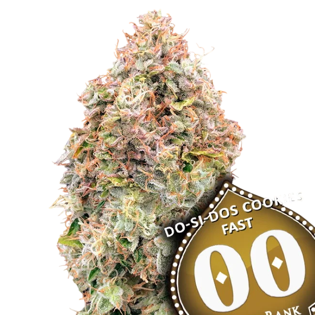 Do-Si-Dos Cookies FAST – Produktansicht