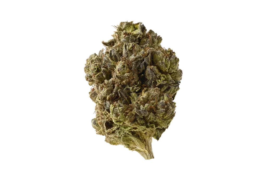 Double Blue – Produktansicht