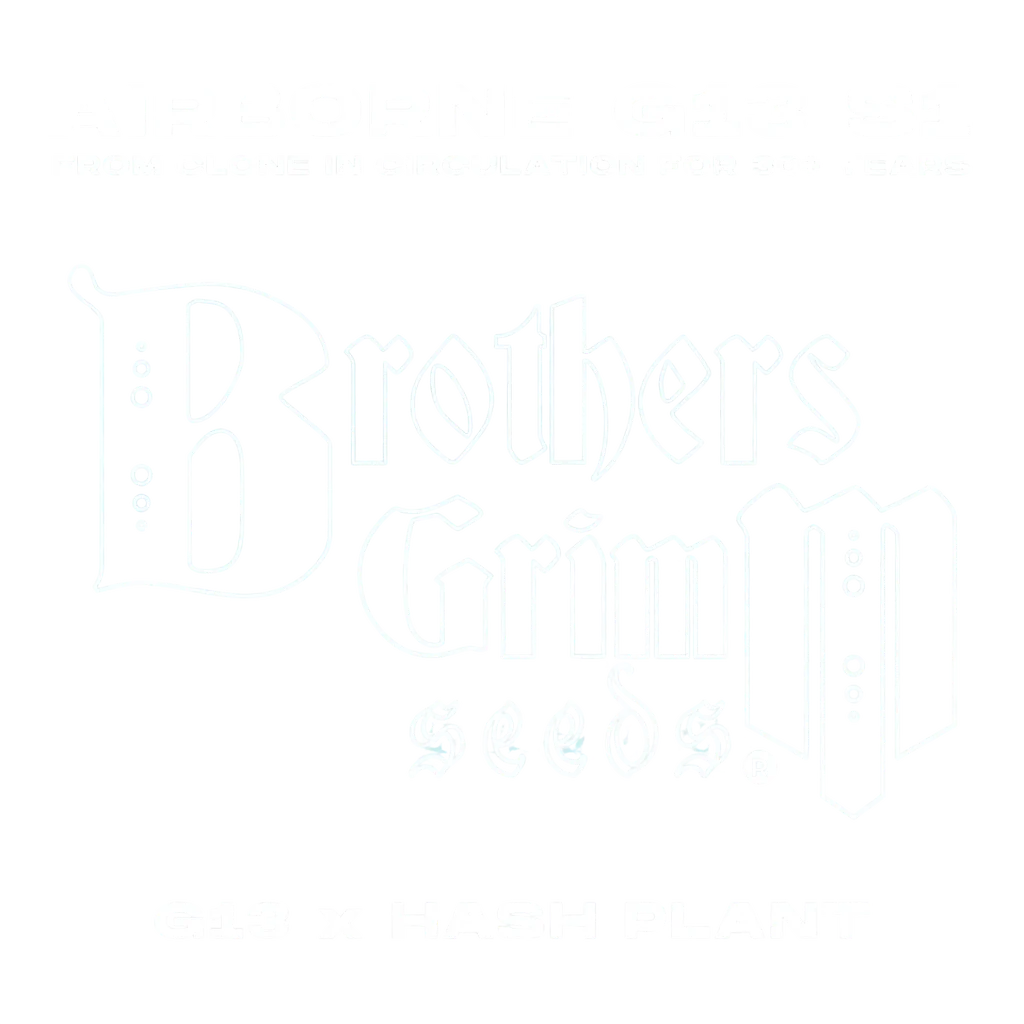 Airborne G13 S1 – Produktansicht