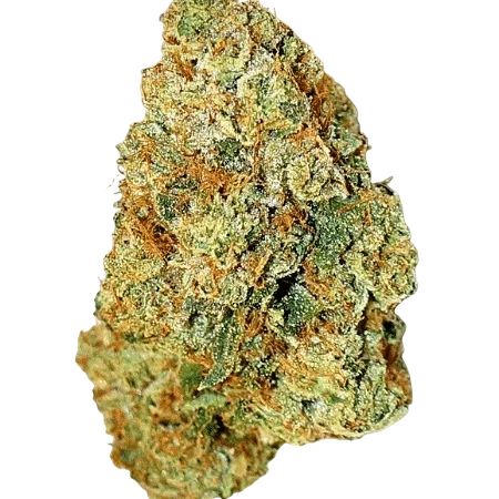 Expert Gorilla Auto