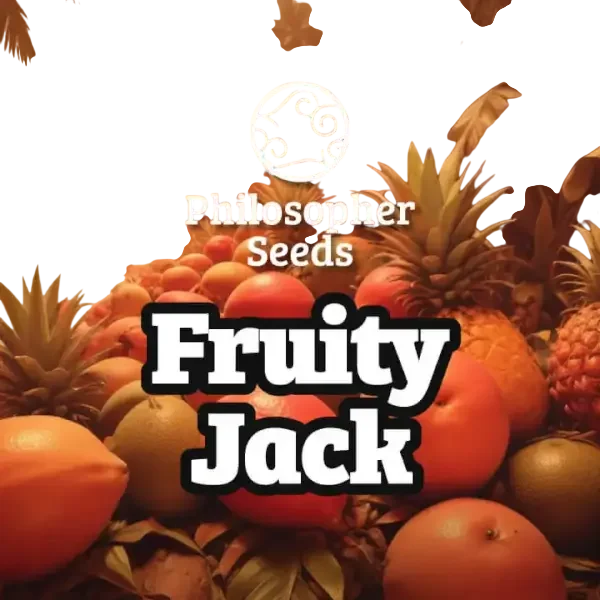Fruity Jack – Produktansicht