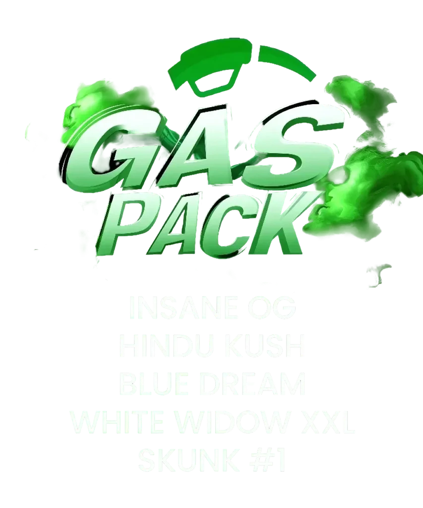 Gas Pack | PHOTOFEM | Barneys Farm