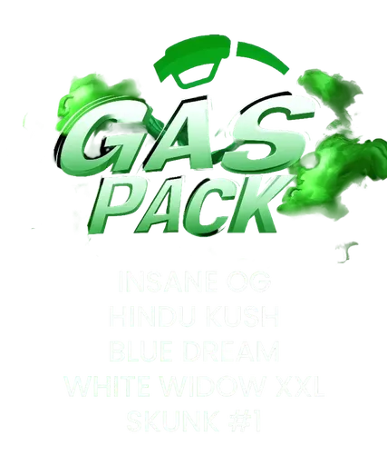 Gas Pack | PHOTOFEM | Barneys Farm