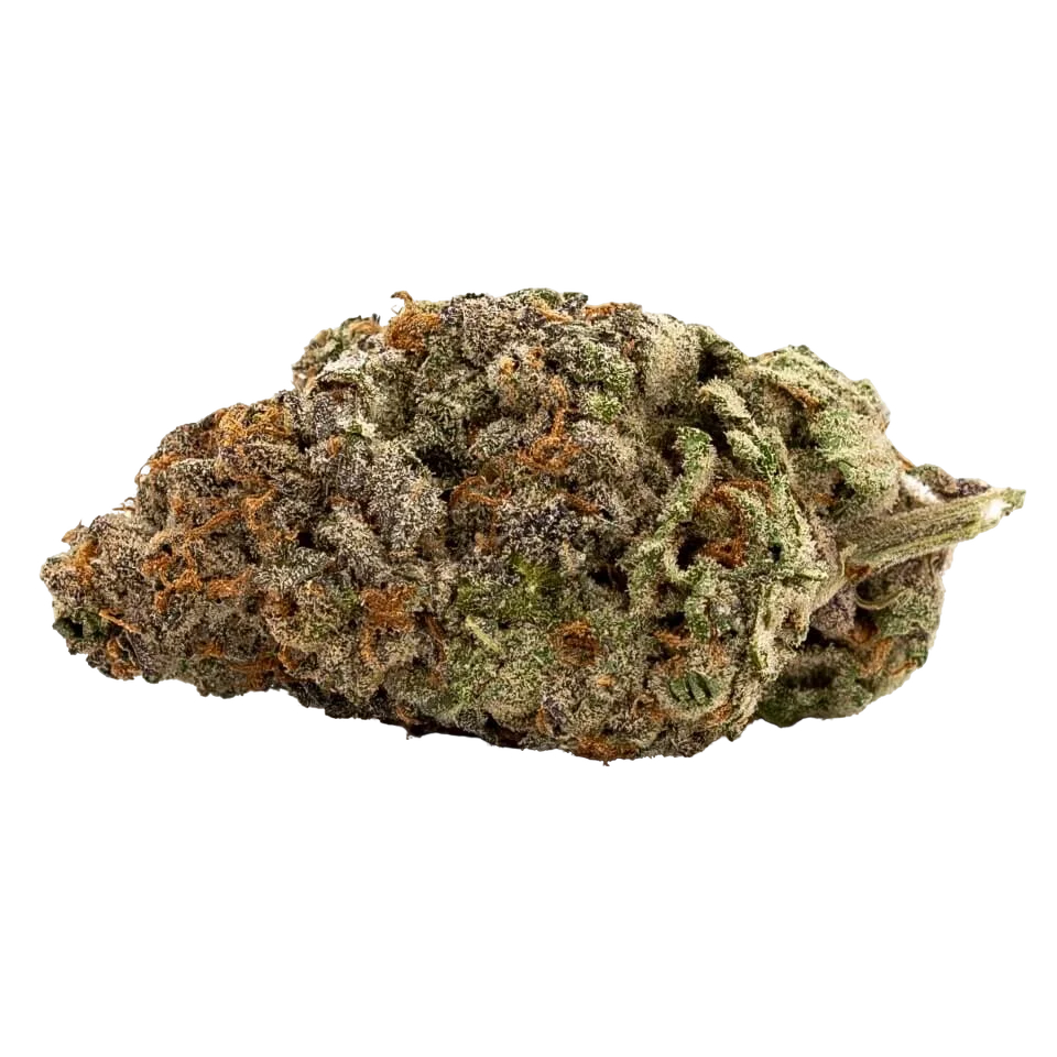 GDP Auto x Gumberry Auto – Produktansicht