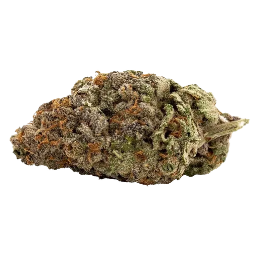 GDP Auto x Gumberry Auto