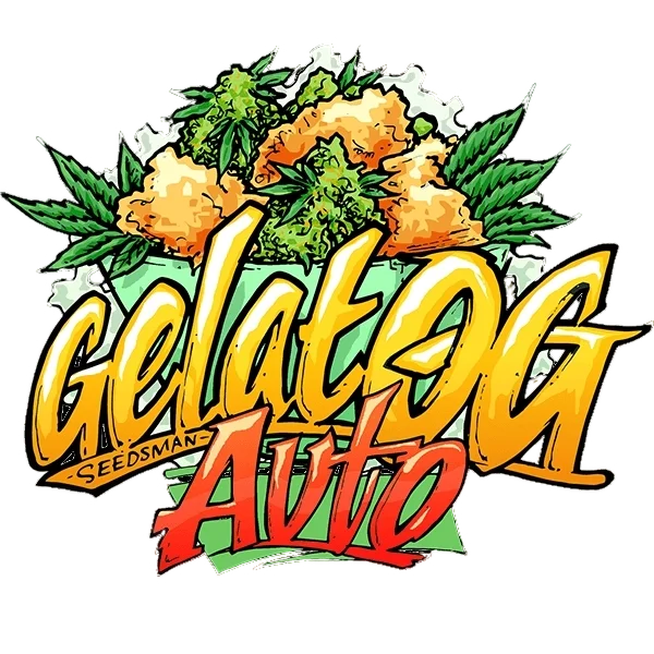 Gelat.OG Auto | AUTOFEM | Seedsman
