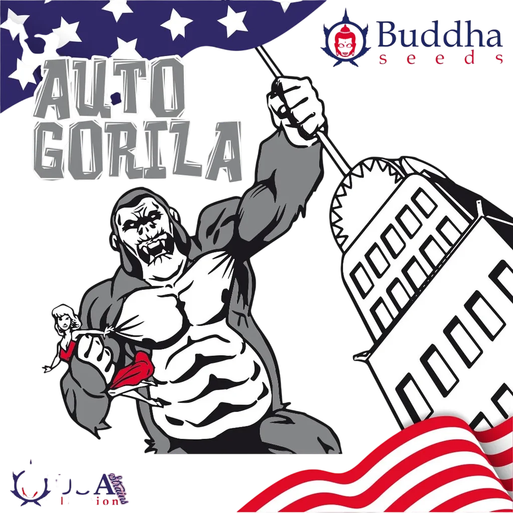 Gorila Auto – Produktansicht