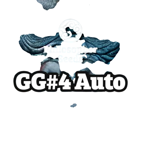 Gorilla Glue Auto – Produktansicht
