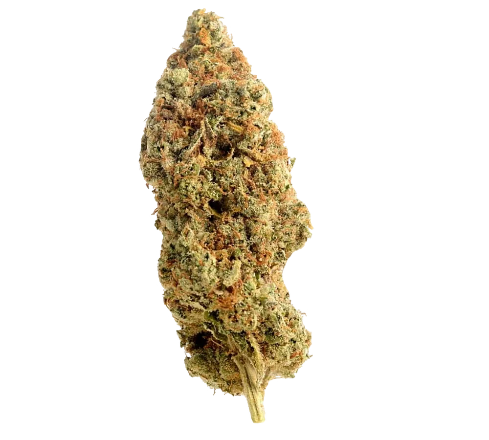 Amnesia Haze – Produktansicht
