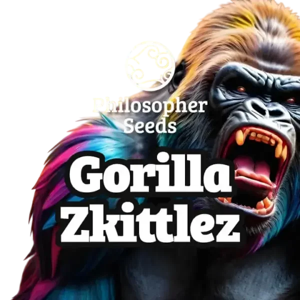 Gorilla Z – Produktansicht