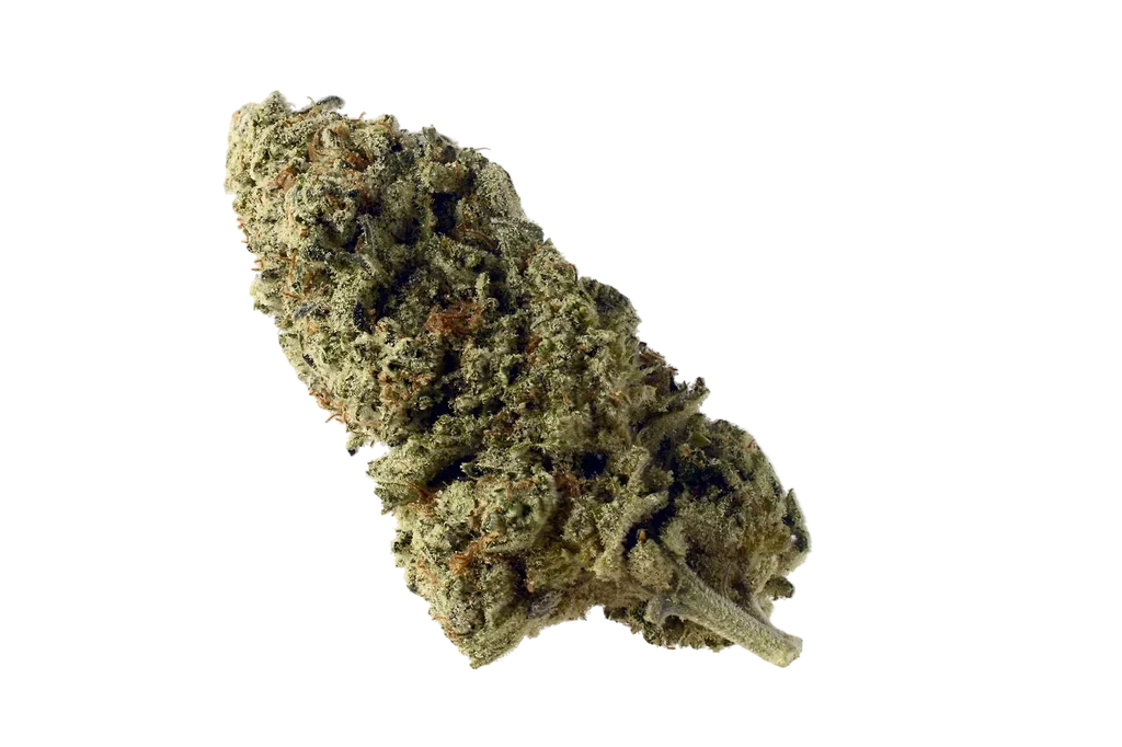 Green Magic – Produktansicht