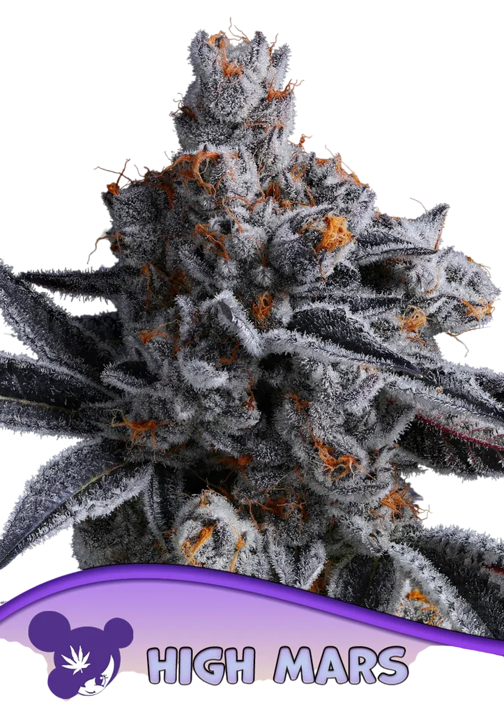 High Mars – Produktansicht