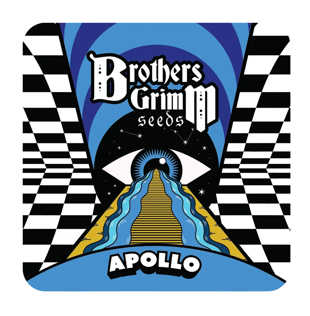 Apollo – Produktansicht
