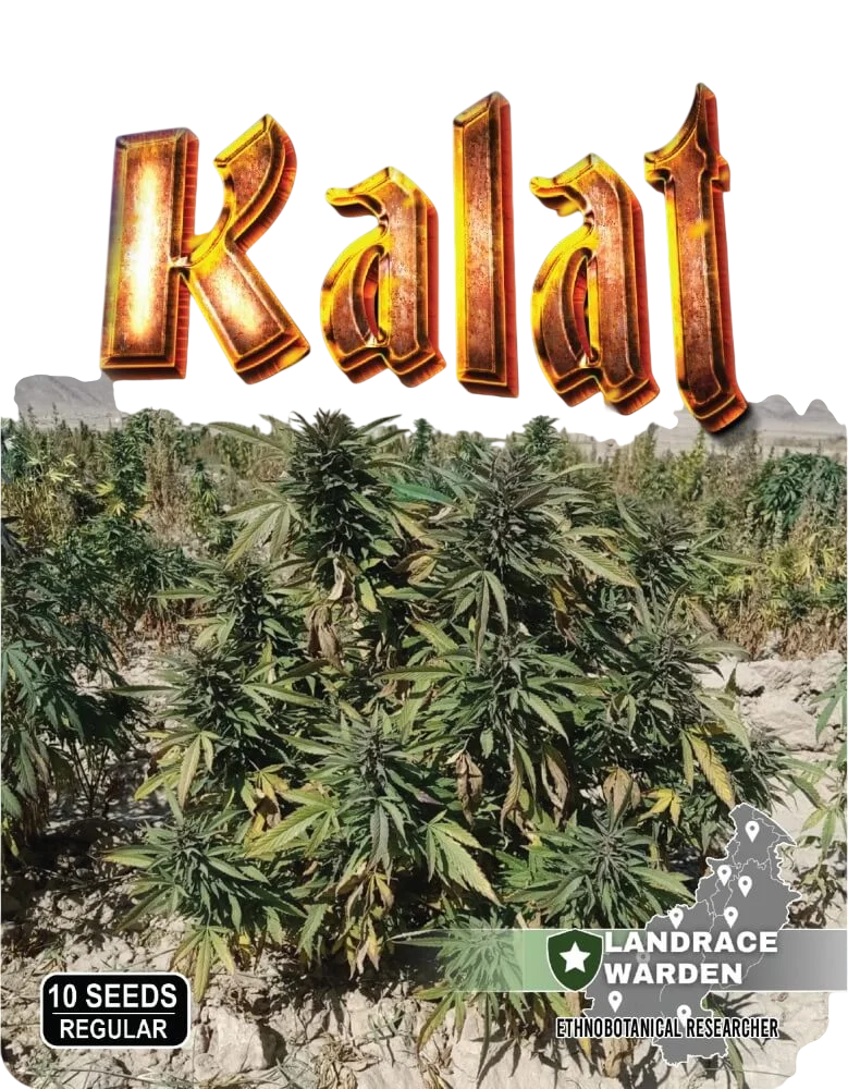 Kalat – Produktansicht