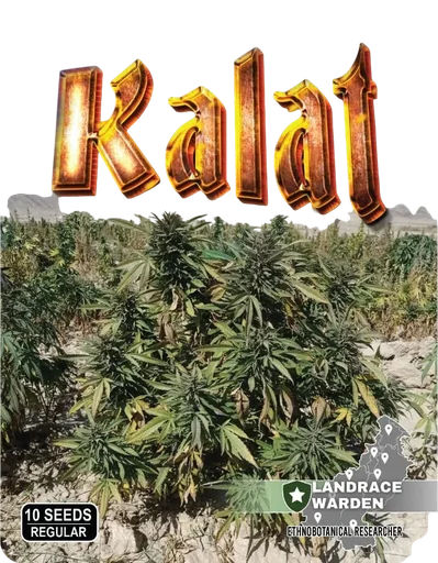 Kalat