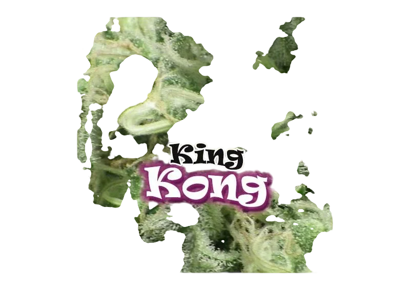 King Kong – Produktansicht