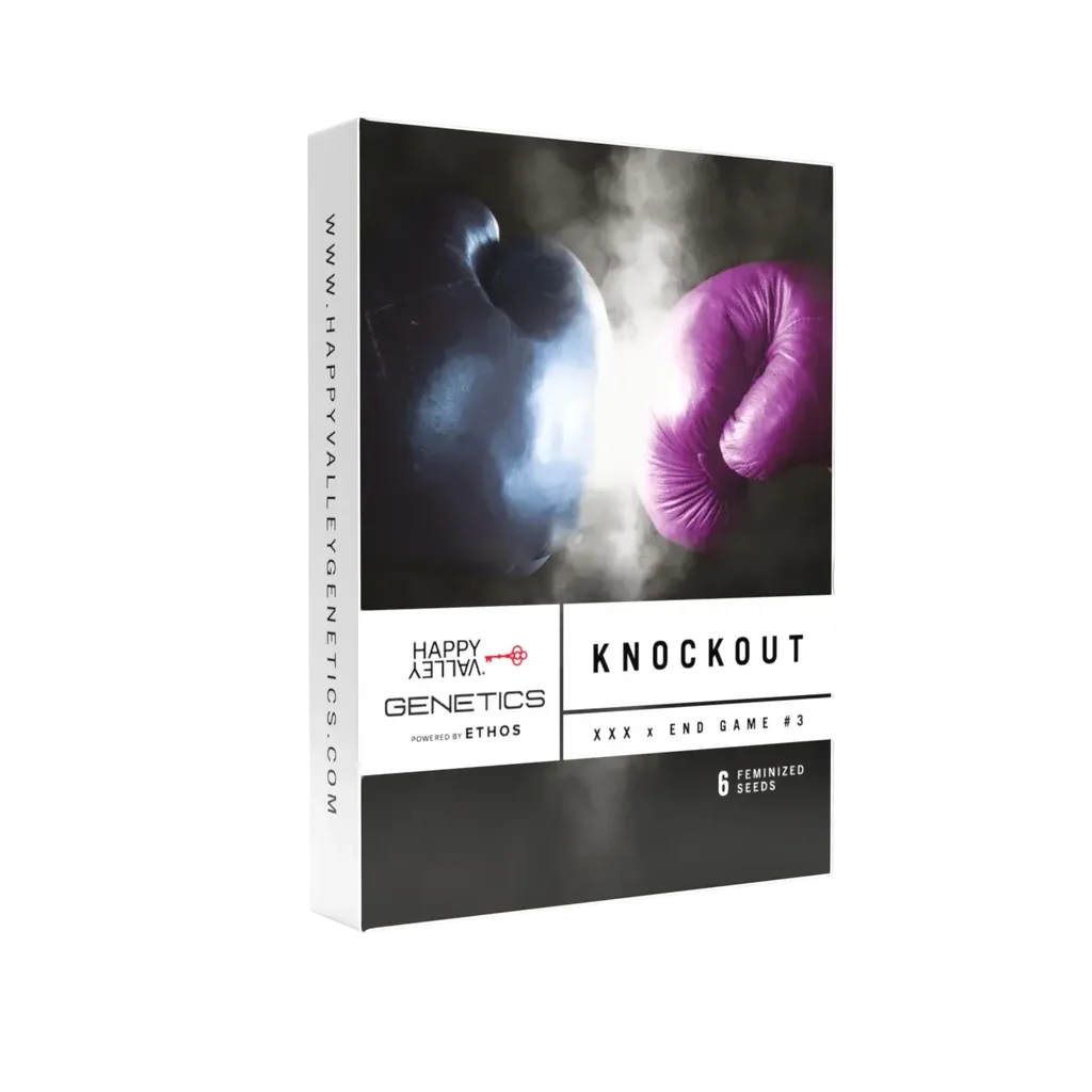 Knockout – Produktansicht