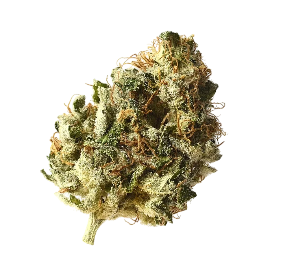 Kosher Choco Kush – Produktansicht