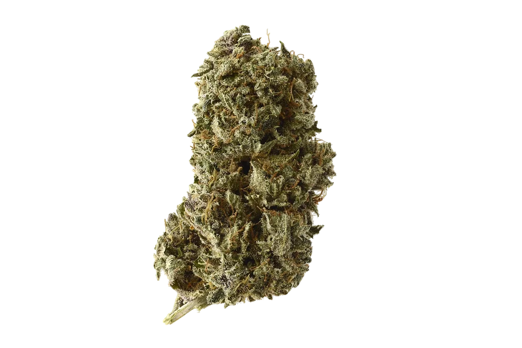 Kosher Tangie Kush – Produktansicht