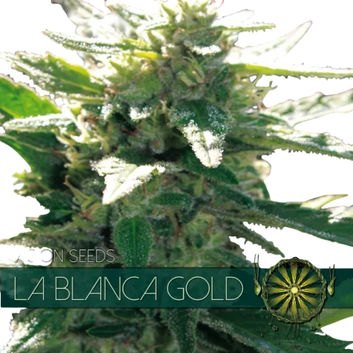 La Blanca Gold – Produktansicht