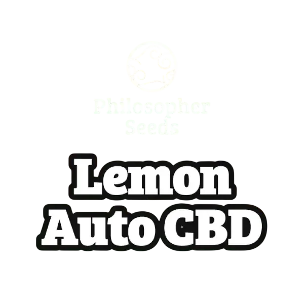 Lemon CBD Auto – Produktansicht