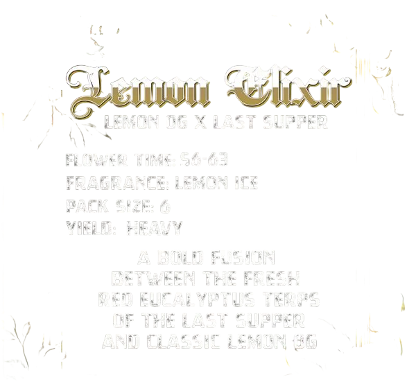 Lemon Elixir – Produktansicht