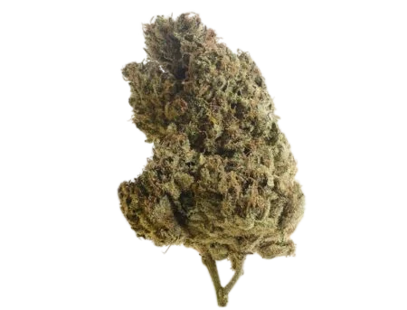 Lemongrass – Produktansicht