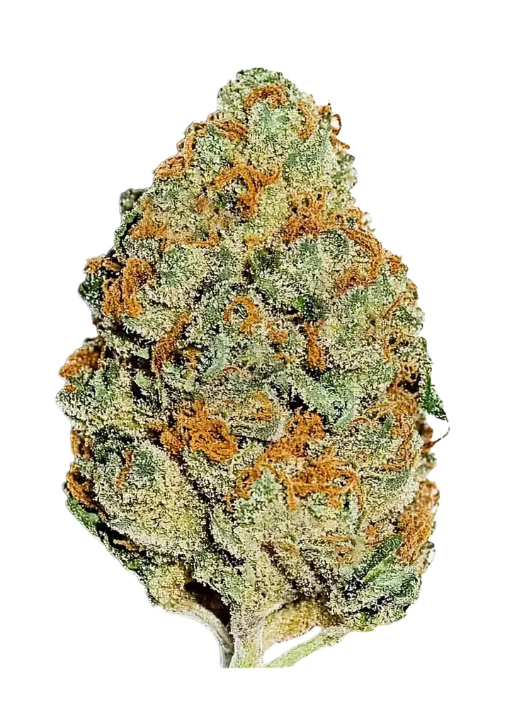 Lemon Mandarin | PHOTOFEM | Fast Buds