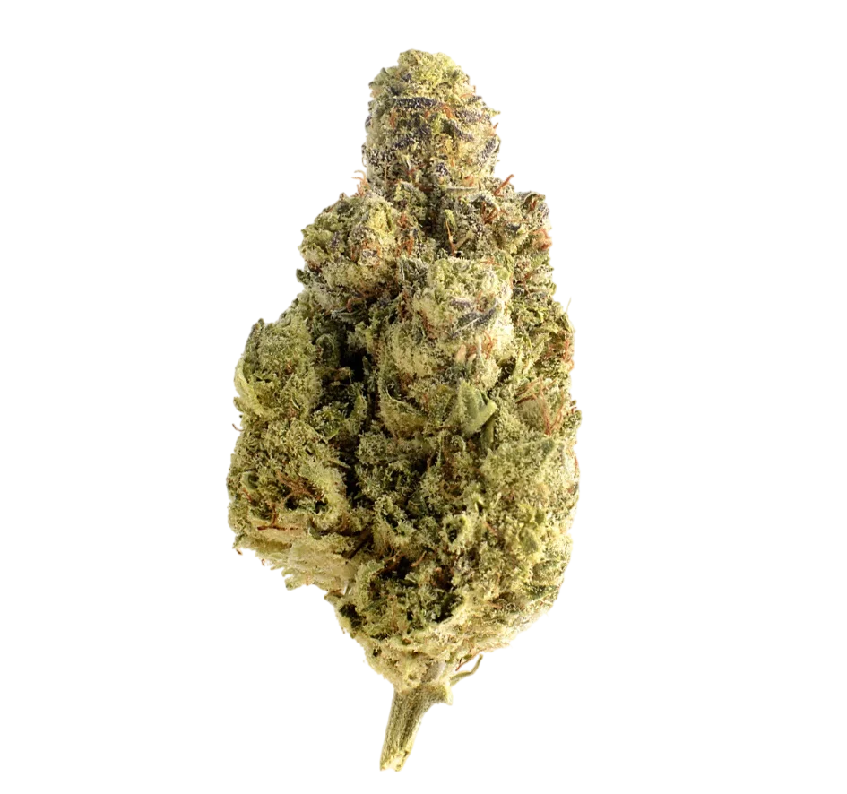 Magic OG Kush – Produktansicht