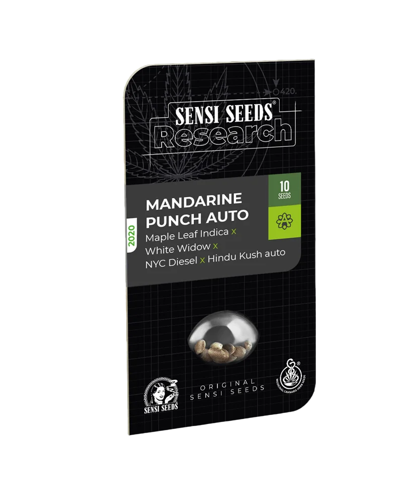 Mandarin Punch Auto – Produktansicht
