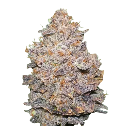 Melon Gum