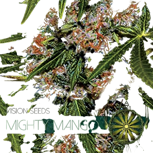 Mighty Mango Bud