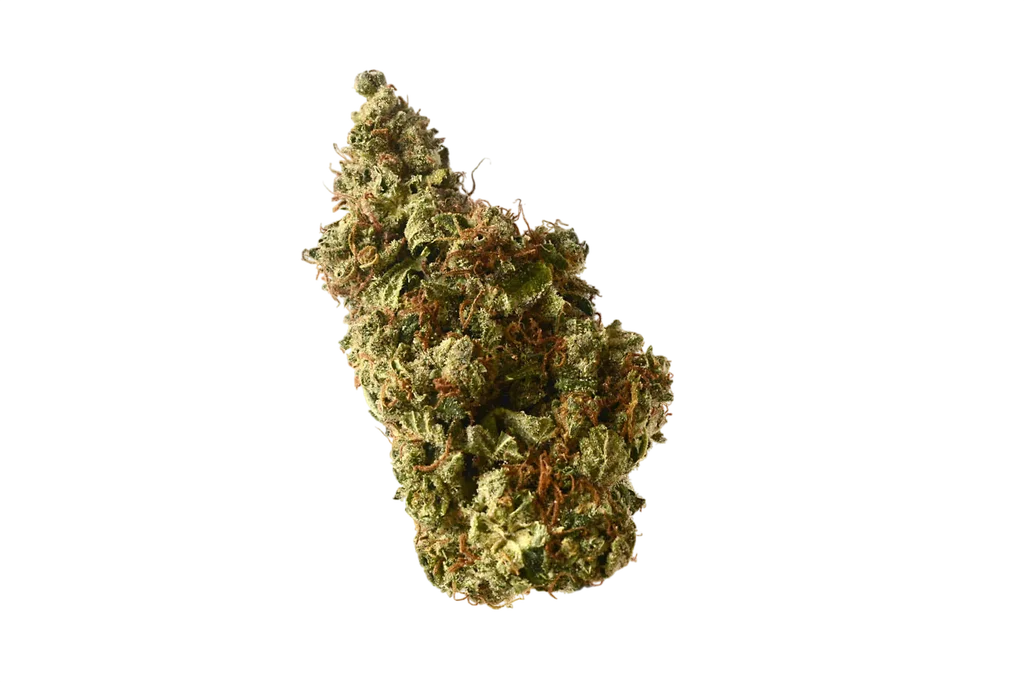 Milkshake Kush Auto – Produktansicht