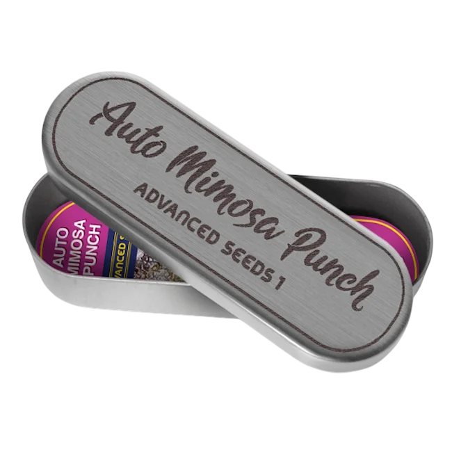 Mimosa Punch Auto – Produktansicht
