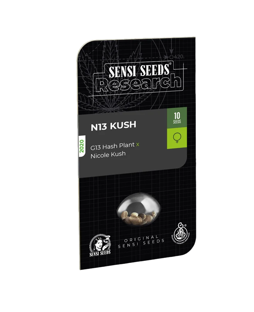 N13 Kush – Produktansicht