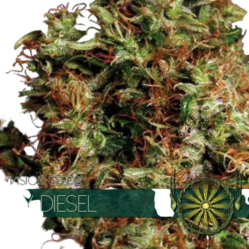 NY Diesel – Produktansicht
