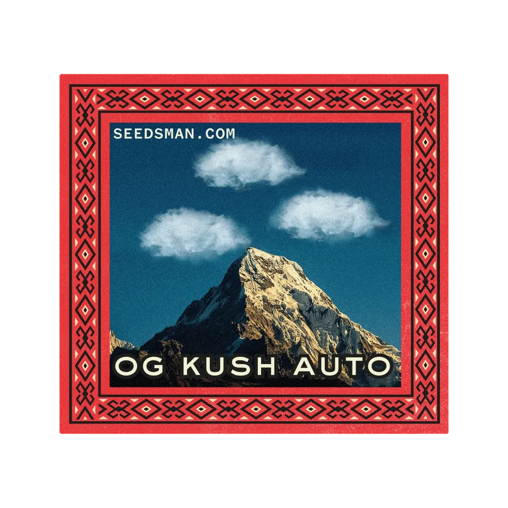 OG Kush Auto – Produktansicht